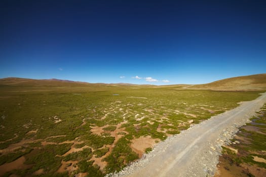 A green plains with gravel road at Tibetan Plateau