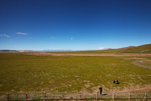 A green plains at Tibetan Plateau