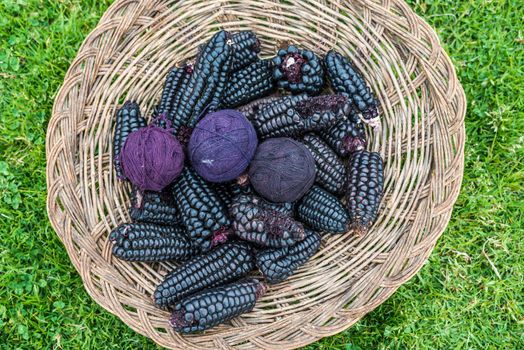 natural dyed wool yarn in the peruvian Andes at Cuzco Peru