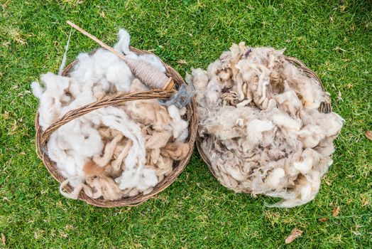 alpaca wool in the peruvian Andes at Cuzco Peru