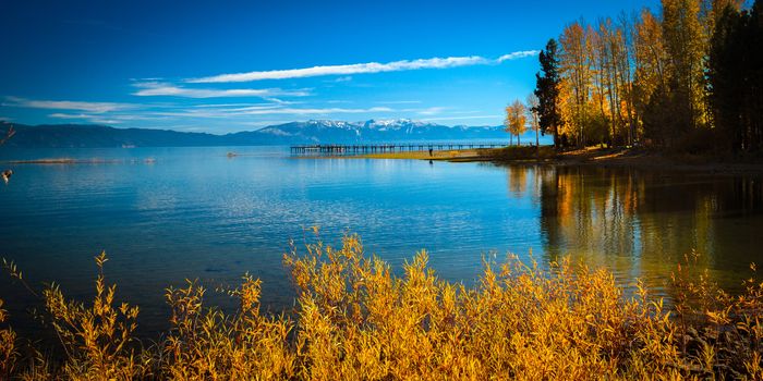 Reflection of trees on water, Tahoe City, Lake Tahoe, California, USA