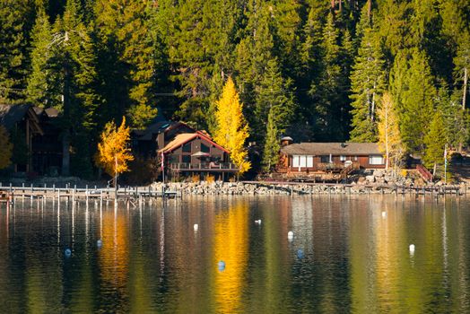 Reflection of trees on water, Carnelian Bay, Lake Tahoe, California, USA