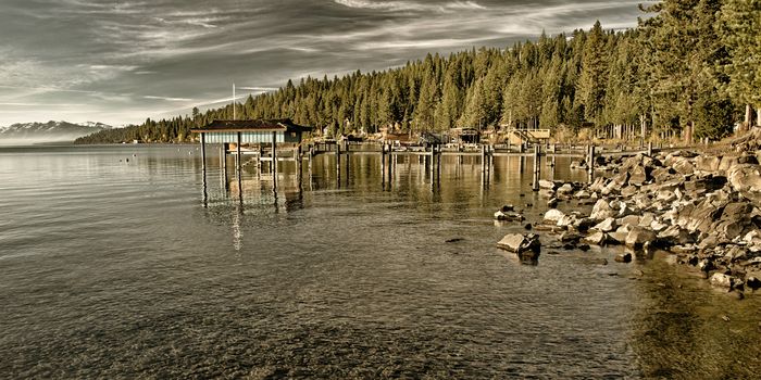 Trees in a forest at the lakeside, Carnelian Bay, Lake Tahoe, California, USA