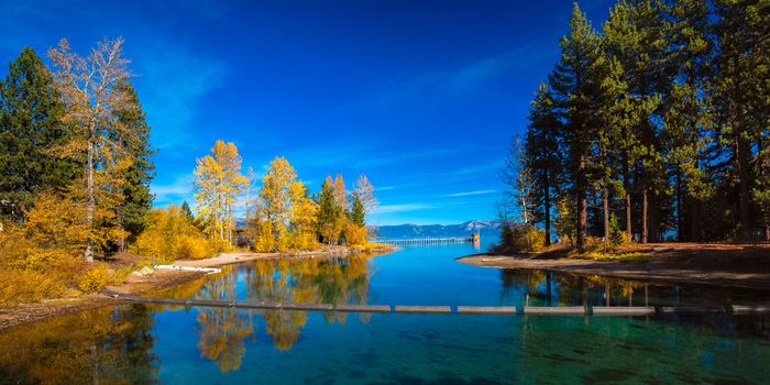 Reflection of trees on water, Tahoe City, Lake Tahoe, California, USA