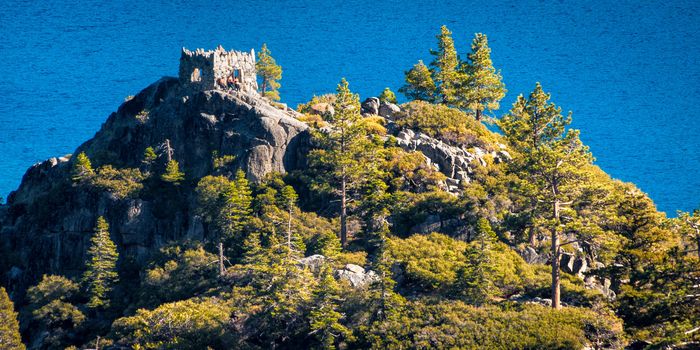 Trees on an island in a lake, Emerald Bay, Lake Tahoe, California, USA