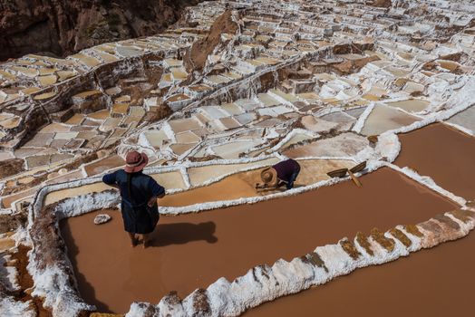 women working at Maras salt mines in the peruvian Andes at Cuzco Peru