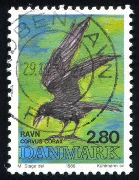 DENMARK - CIRCA 1986: stamp printed by Denmark, shows Common Raven, circa 1986