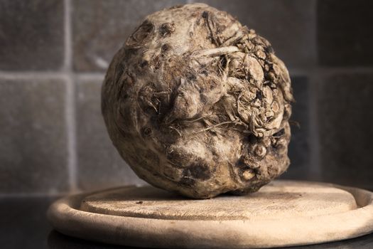 Celeriac, root vegetable recently harvested.