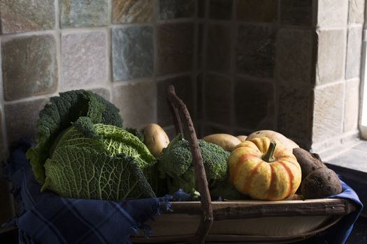 Selection of winter vegetables including savoy cabbage, broccoli, sweet lightning squash, in a trug harvesting basket