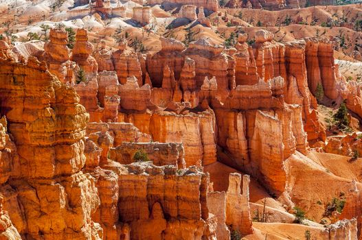 spectacular Hoodoo rock spires of Bryce Canyon, Utah, USA