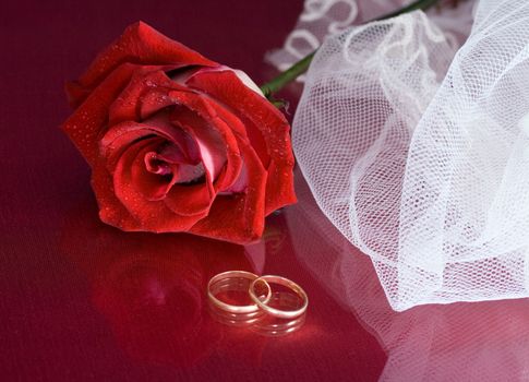 Red rose, veil and wedding rings on a red background