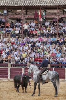 Ubeda, Jaen province, SPAIN - 2 october 2010: Spanish bullfighter Fermin Bohorquez bullfighting in front of the brave bull with its horse, the public is looking attentively at the toreador in Ubeda, Jaen province, Spain