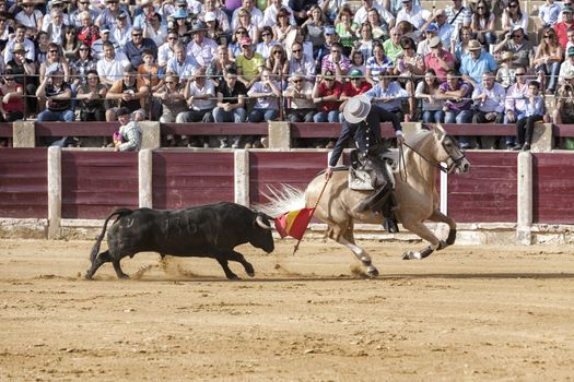 Ubeda, Jaen province, SPAIN - 2 october 2010: Spanish bullfighter Fermin Bohorquez bullfighting with a flag of colours to attract the bull in Ubeda, Jaen province, Spain