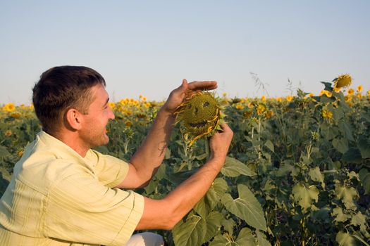 Man in the field with sunflowers smiling looking at sunflower