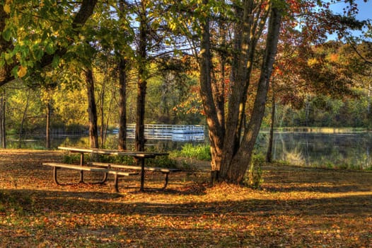 An HDR landscape of a forest and pond.