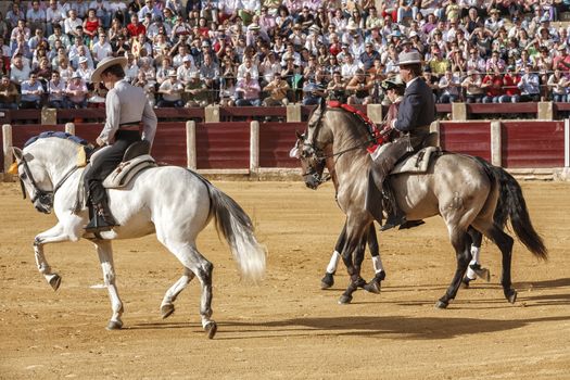 Ubeda, Jaen province, SPAIN - 2 october 2010: Spanish bullfighters on horseback Leonardo Hernandez, Fermin Bohorquez And Joao Moura at the paseillo or initial parade in Ubeda, Jaen province, Spain