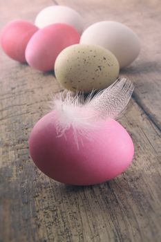 Easter eggs with feather on old wooden table