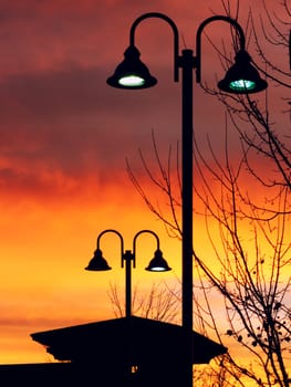 Lit Vertical Lightposts in Silhouette in Early Morning Sunrise