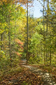 This trail in the Fires Creek area of North Carolina beckons for a hike.
