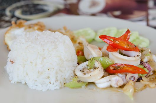 stir fried  squid and vegetable  served with steamed rice , spicy food