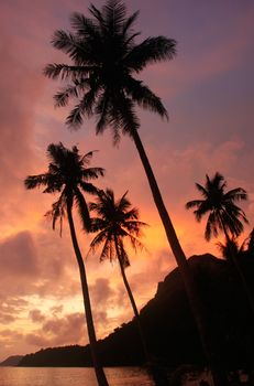 Tropical beach with palm trees at sunrise, Wua Talab island, Ang Thong National Marine Park, Thailand