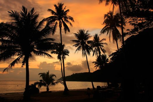 Tropical beach with palm trees at sunrise, Wua Talab island, Ang Thong National Marine Park, Thailand