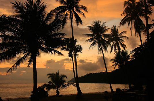 Tropical beach with palm trees at sunrise, Wua Talab island, Ang Thong National Marine Park, Thailand