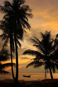 Tropical beach with palm trees at sunrise, Wua Talab island, Ang Thong National Marine Park, Thailand