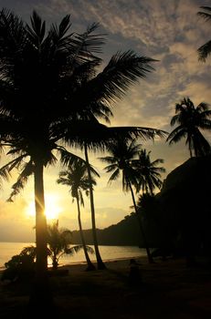 Tropical beach with palm trees at sunrise, Wua Talab island, Ang Thong National Marine Park, Thailand