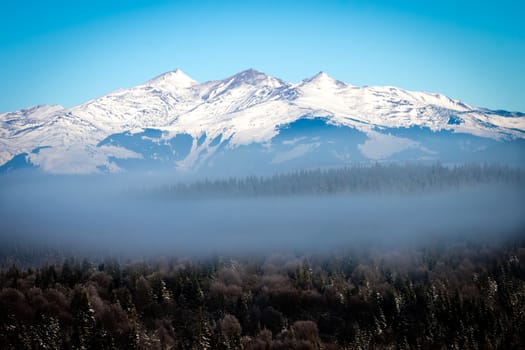 White mountain landscape with forest