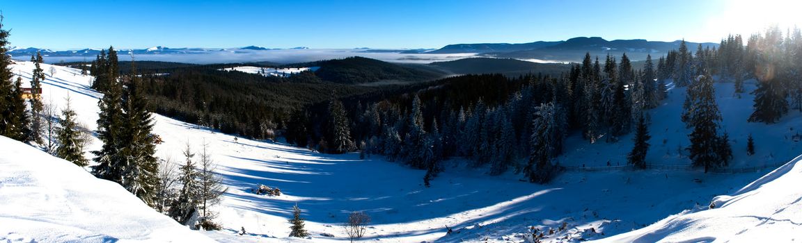 Winter landscape with forest and snow