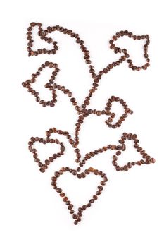 Coffee beans arranged in a heart tree.