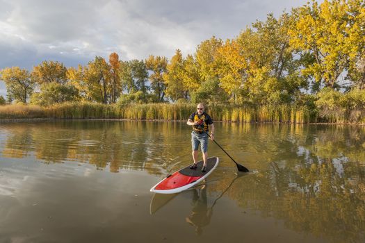 senior male paddler enjoying workout on stand up paddleboard (SUP), calm lake in Colorado, fall colors