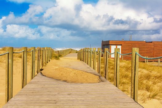 Jetty to Paradise