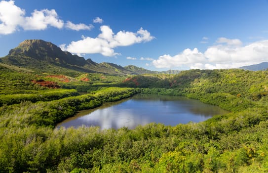 Traditional hawaiian fish pond known as Menehune or Alekoko near Lihue on Kauai in Hawaii