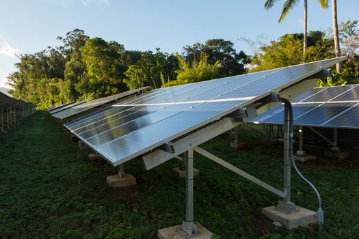 Large industrial solar power panels installation in hot tropical environment