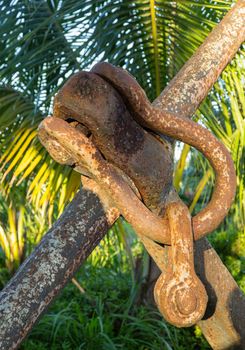 Detail of the rusty links of chain on large boat anchor used as a decoration in a tropical garden with palm trees