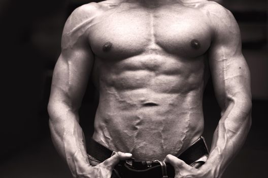Close-up of muscular male torso, pecs, abs and arms on dark background