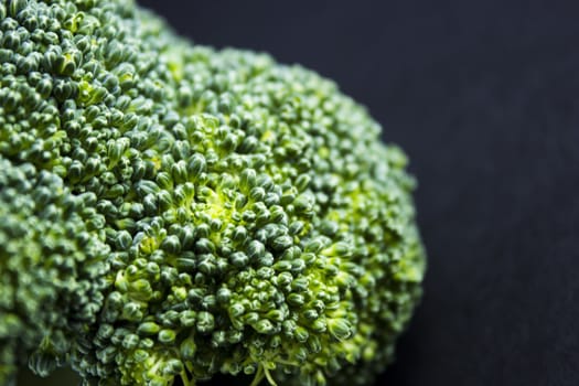 Fresh broccoli on black background.
