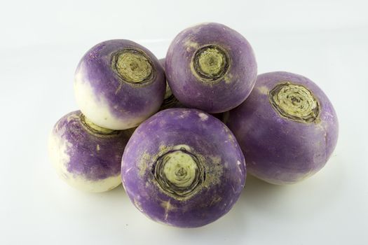 purple headed turnips on white background