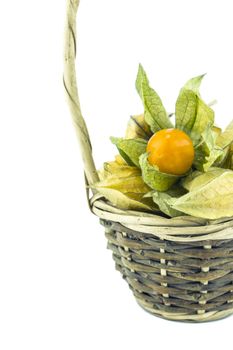 Cape gooseberry, physalis in basket isolated on white background.