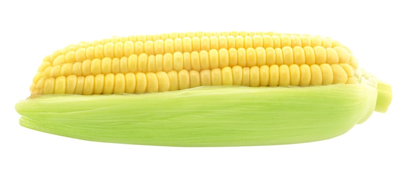 ear of corn isolated on a white background (with clipping work path)