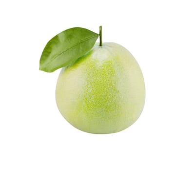Bergamot oranges on white background (with clipping work path)