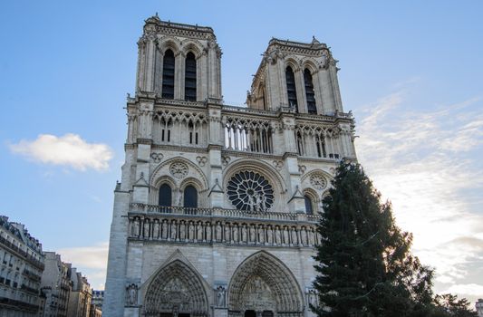 Church Notre Dame on the side the Seine.