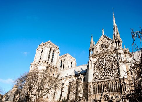 Church Notre Dame on the side the Seine.