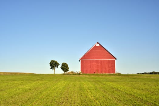 Red barns and trees in a field on a sunny day