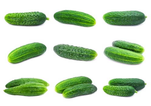 Collection of fresh green cucumber isolated on white background