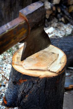 Old Axe in Stump on the nature closeup