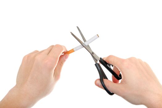 Person cutting a Cigarette with Scissors closeup Isolated on the White Background