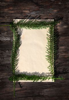 Vintage Paper and Green twigs on old wooden wall background